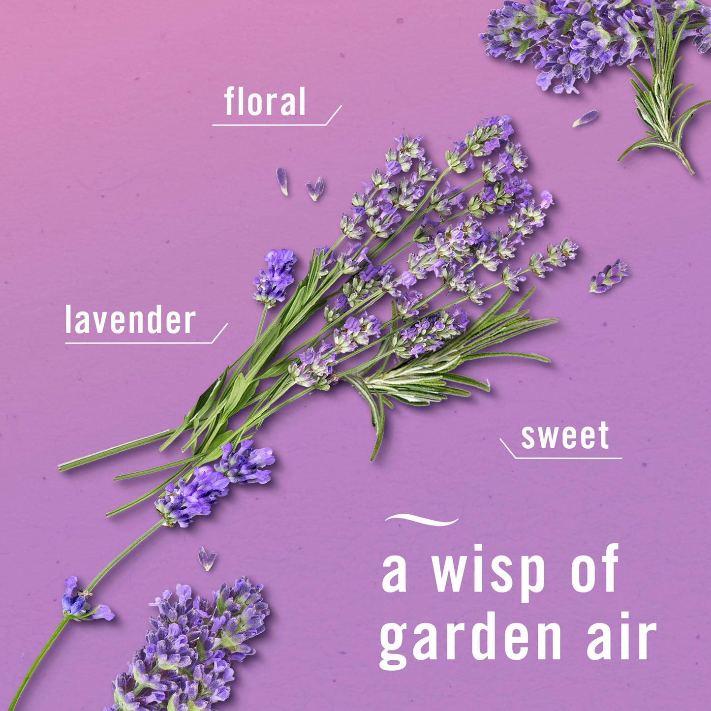 Febreze Plug Air Freshener, Twilight Lavender + Linen & Sky, 5 refills, 4.35 fl. oz.