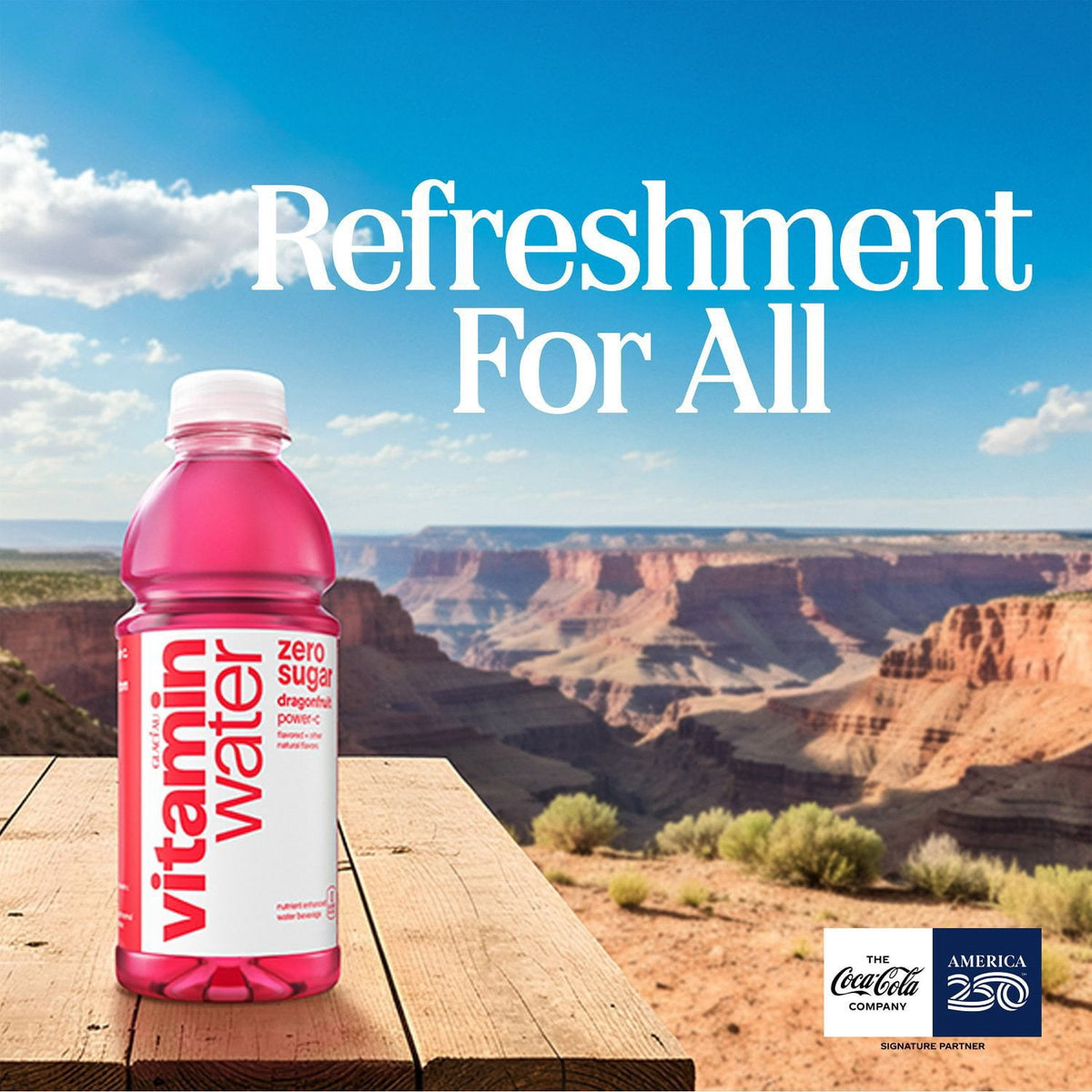 Glaceau Vitaminwater Variety Pack Nutrient Enhanced Water 16.9 fl. oz., 18 pk.