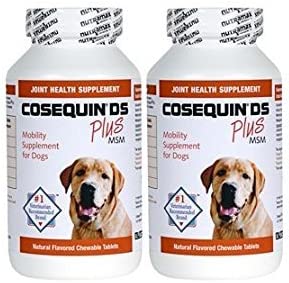 Cosequin DS Plus MSM 360 Count Joint Health Supplement for Dogs (2 Pack/3 Pack)