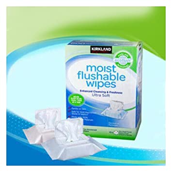 Kirkland Signature Moist Flushable wipes